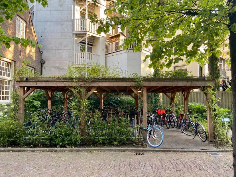 Many bicycles parked under a wooden structure surrounded by greenery and apartments.