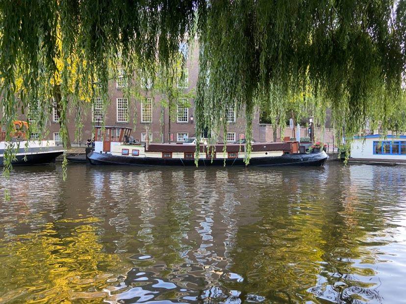 houseboat on a dutch canal slightly obscured by the hanging branches of a willow tree.